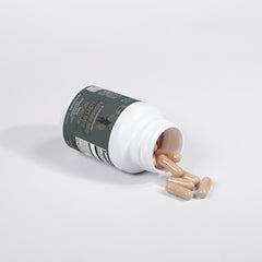 Ascended Mind Lion's Mane Mushroom