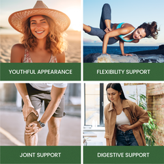 Multi Collagen Protein Peptides