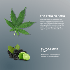 Broad Spectrum CBD Gummies - THC Free