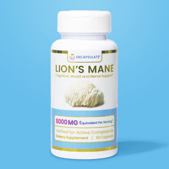 Lion's Mane Mushroom 8:1