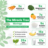 Moringa Capsules for Immunity & Antioxidant Support