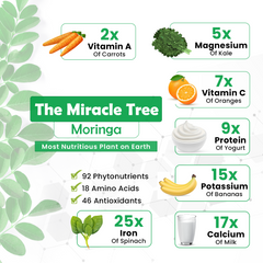 Moringa Capsules for Immunity & Antioxidant Support
