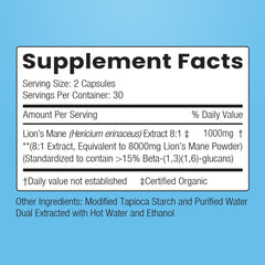 Lion's Mane Mushroom 8:1