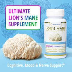 Lion's Mane Mushroom 8:1