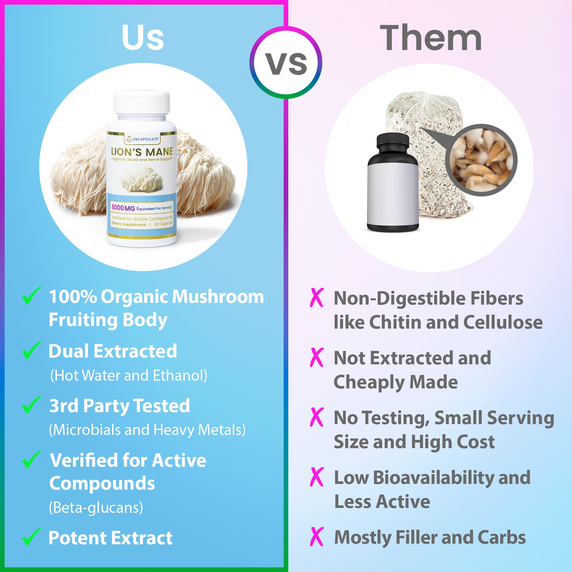 Lion's Mane Mushroom 8:1