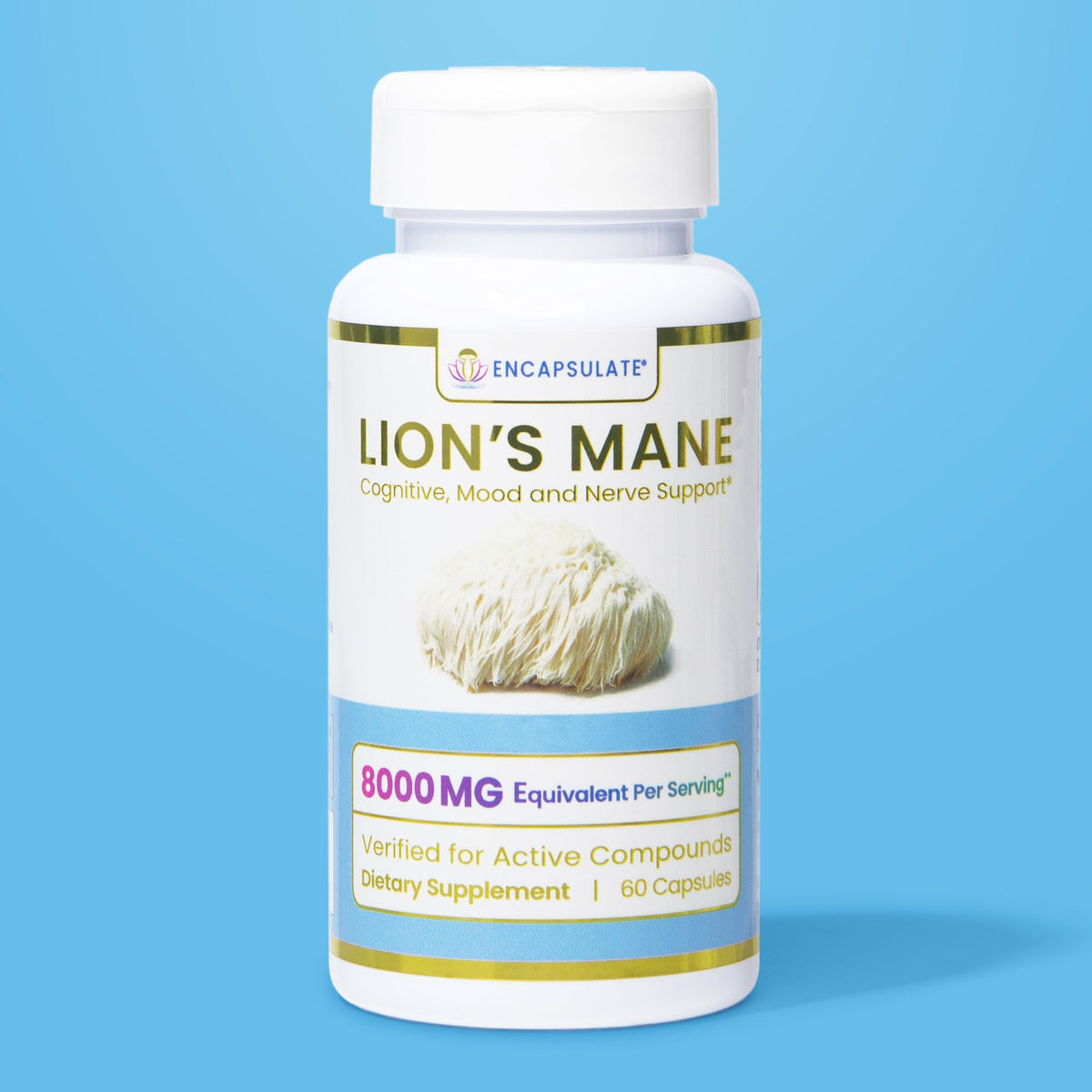 Lion's Mane Mushroom 8:1