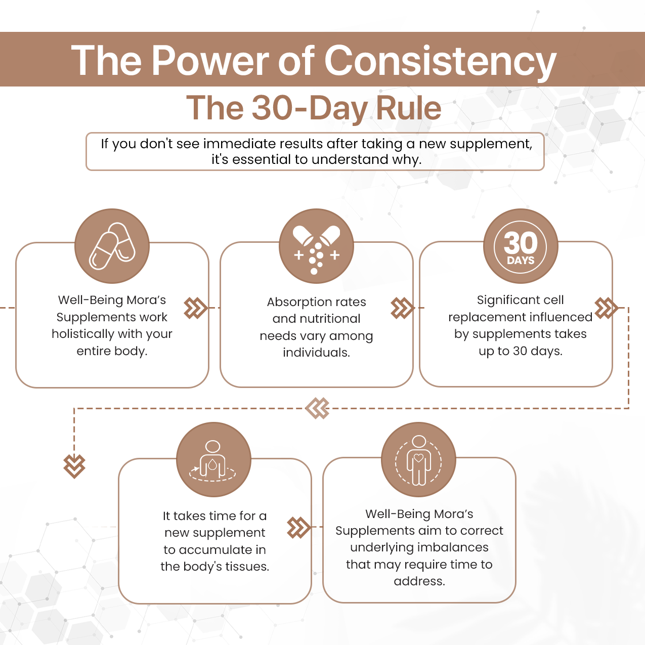 Shatavari Powder for Hormonal Balance & Vitality