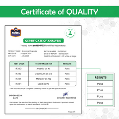 Shatavari Capsules for Hormonal Balance & Vitality