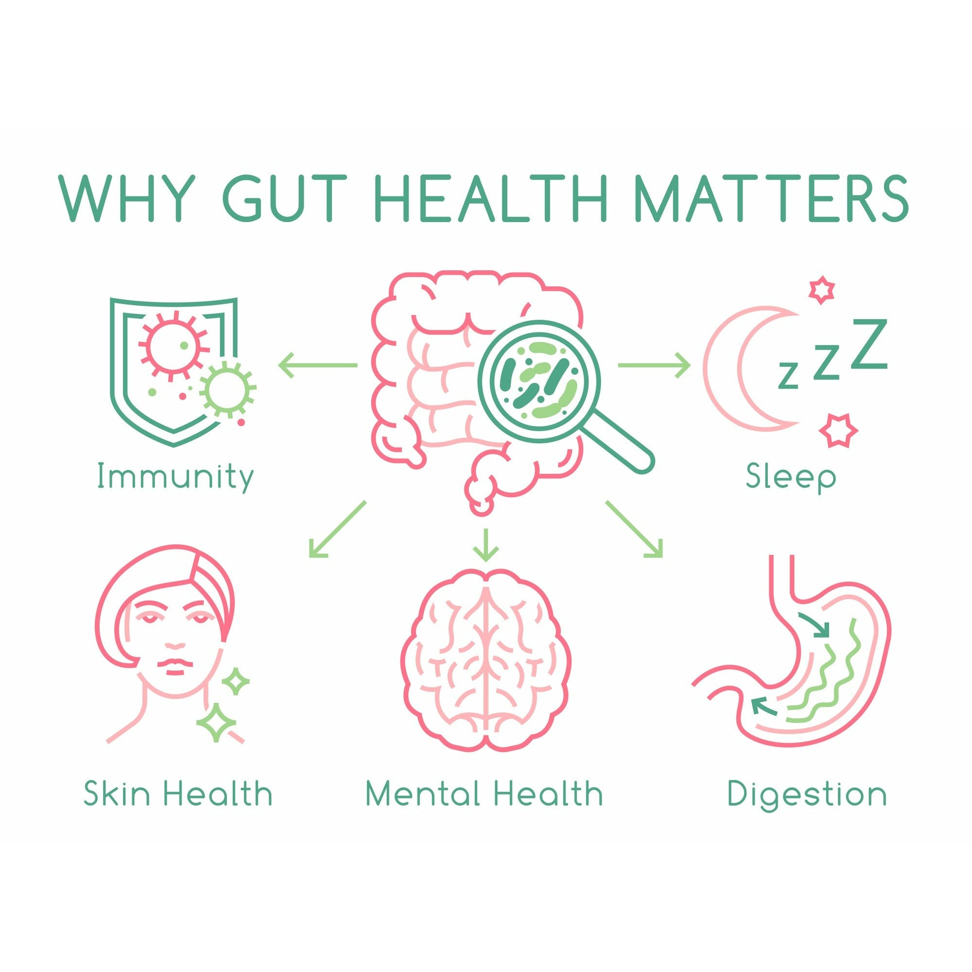 Good Gut Health & Faster Recovery | Fossil Shell Flour, Curcumin, Electrolyte Powder