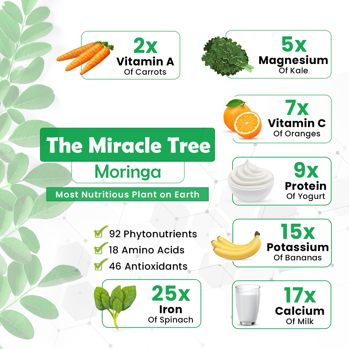 Moringa Capsules for Immunity & Antioxidant Support