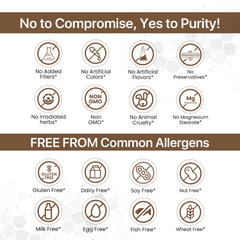 Ashwagandha Powder for Stress Relief & Energy